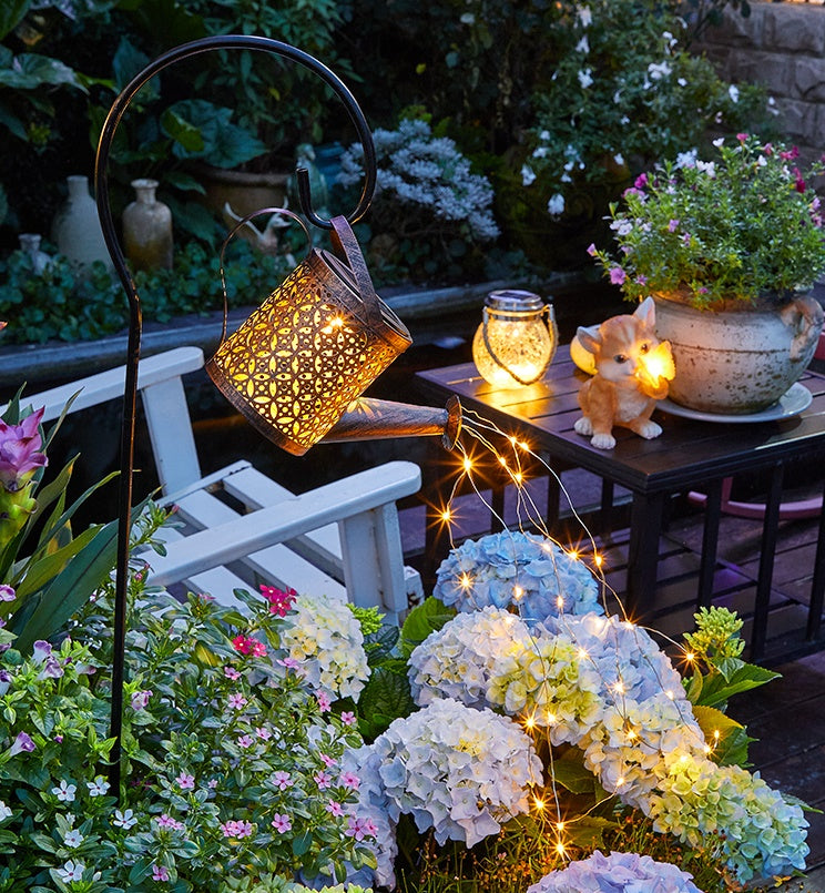 Enchanted Watering Can