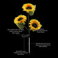 Solar Sunflower Light